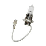 BOMBILLO HALOGENO 12V H3 55W CHINO "12-060"